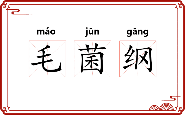 毛菌纲 毛菌纲