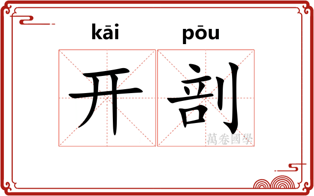 开剖