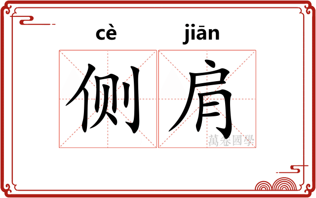 侧肩