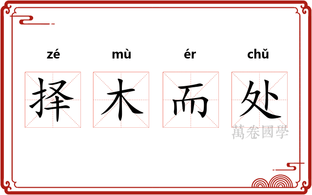 择木而处