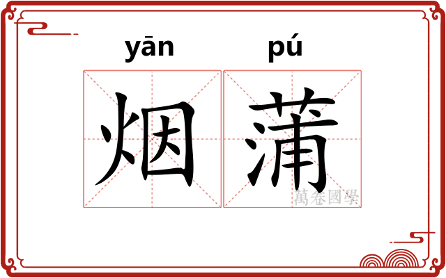 烟蒲