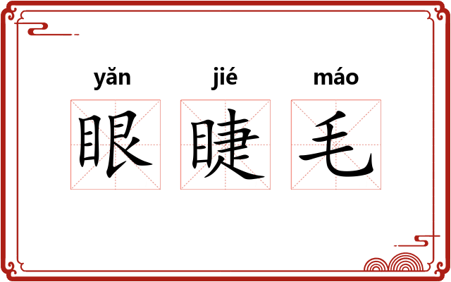 眼睫毛 眼睫毛