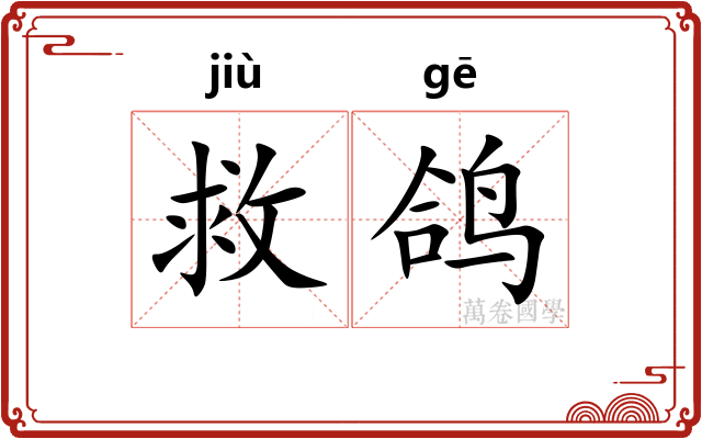救鸽