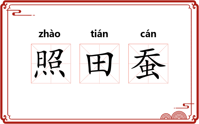照田蚕 照田蚕