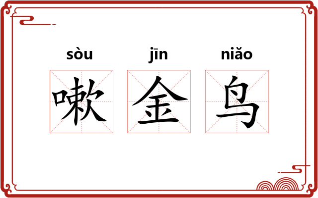 嗽金鸟 嗽金鸟