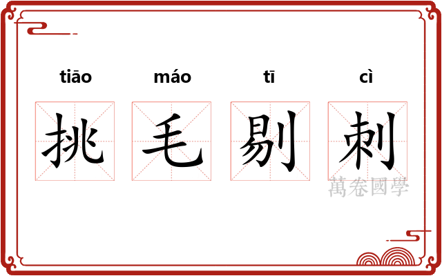 挑毛剔刺