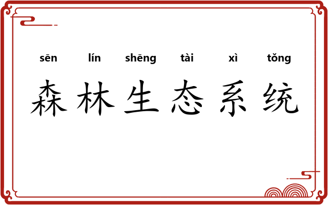 森林生态系统 森林生态系统