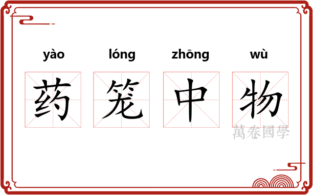 药笼中物 药笼中物