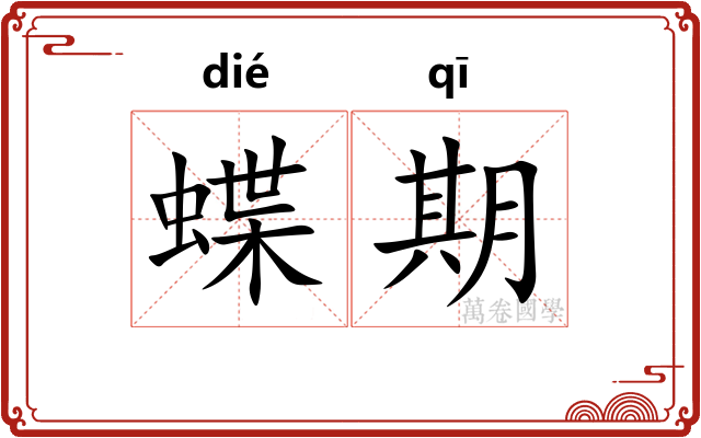 蝶期