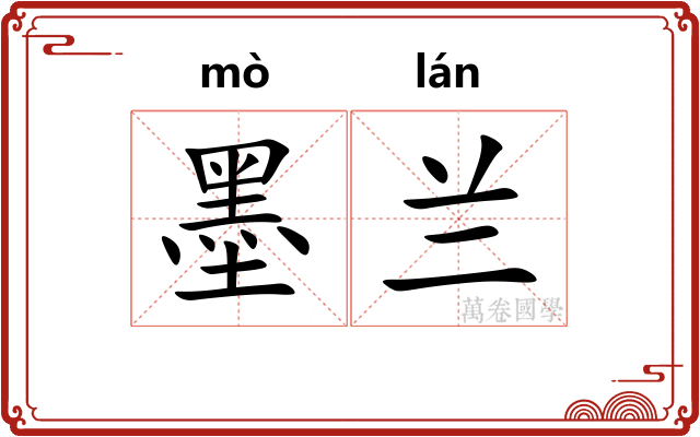 墨兰 墨兰