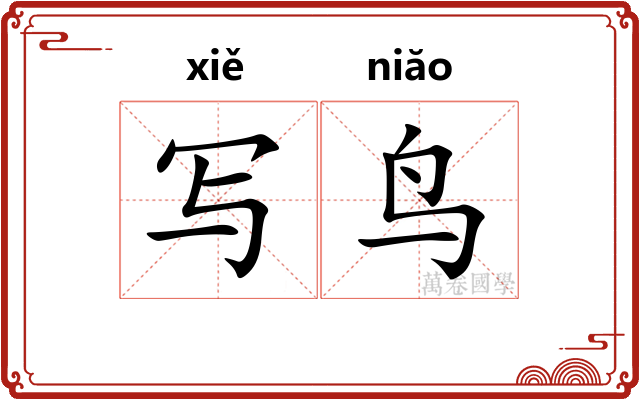写鸟