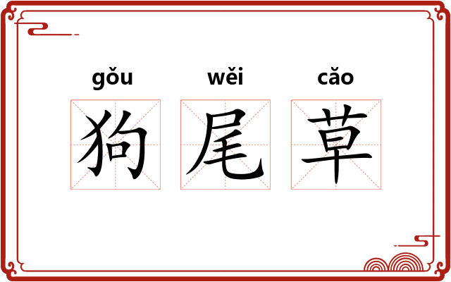 狗尾草 狗尾草