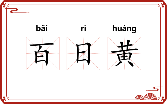 百日黄