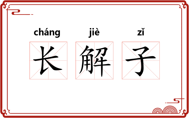 长解子