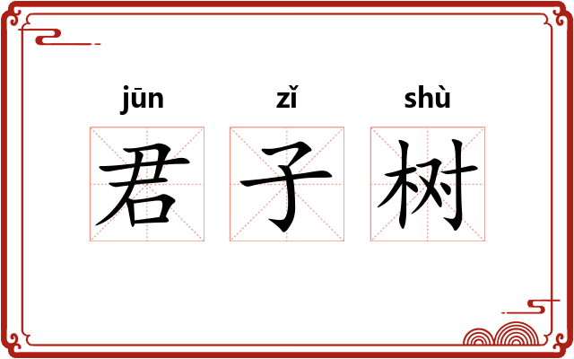 君子树 君子树