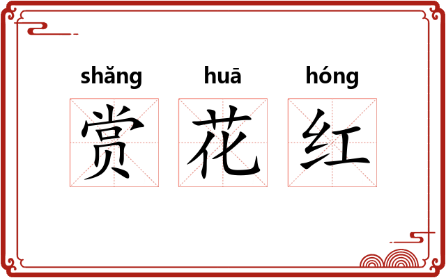 赏花红 赏花红