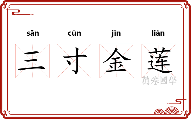 三寸金莲 三寸金莲