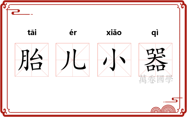 胎儿小器 胎儿小器