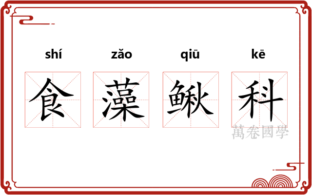 食藻鳅科