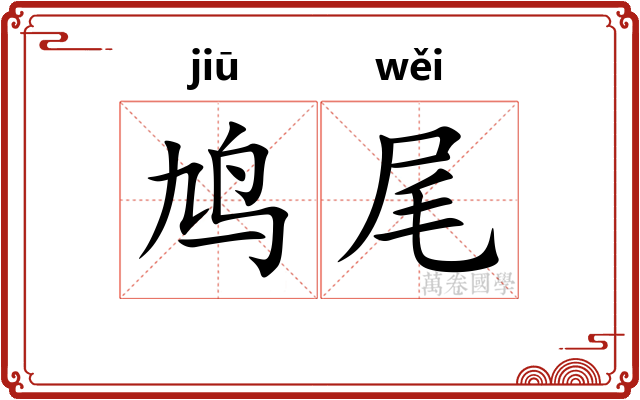 鸠尾 鸠尾