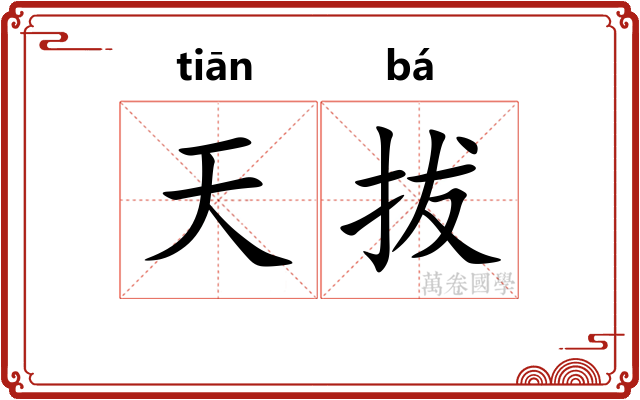天拔 天拔