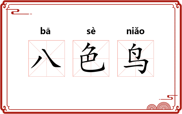 八色鸟