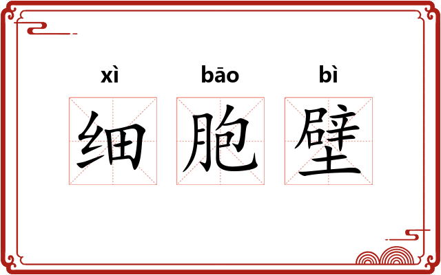 细胞壁 细胞壁