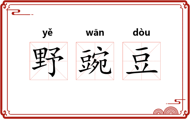 野豌豆 野豌豆