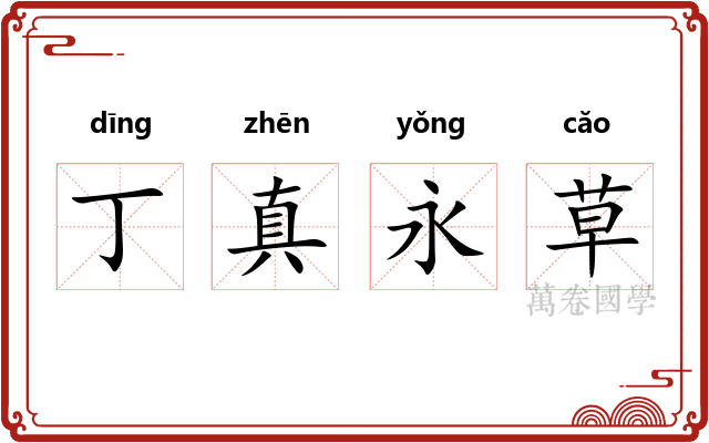 丁真永草 丁真永草