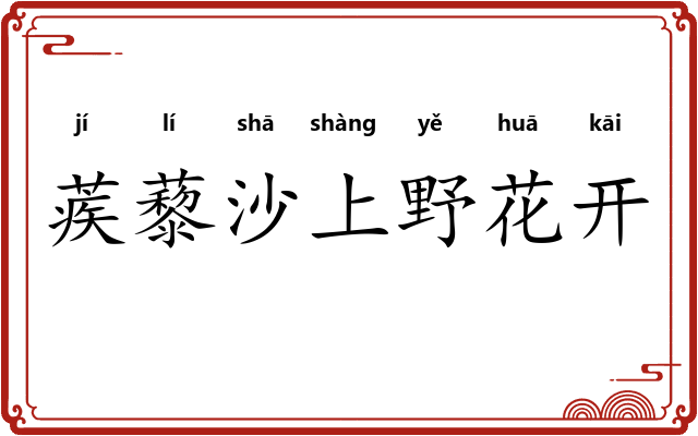 蒺藜沙上野花开