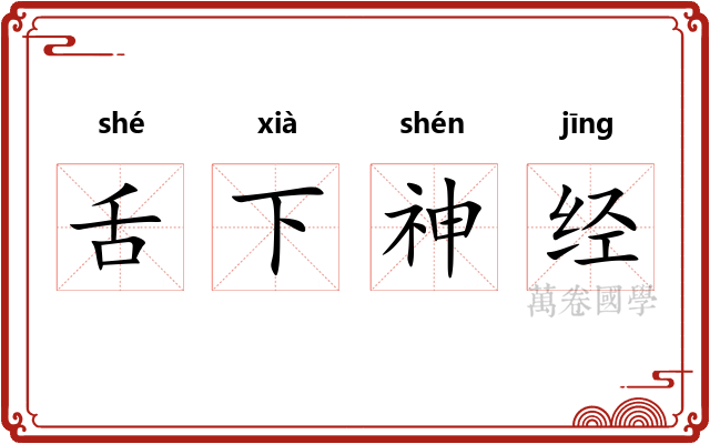 舌下神经 舌下神经