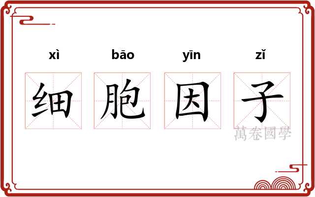 细胞因子 细胞因子