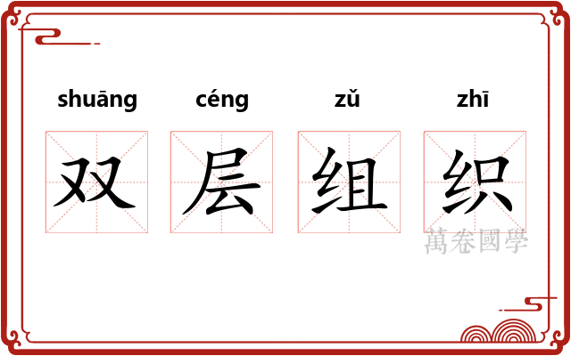 双层组织