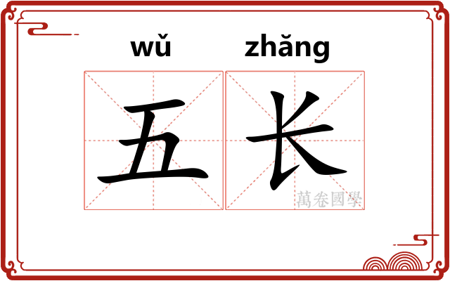 五长