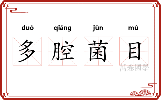 多腔菌目 多腔菌目