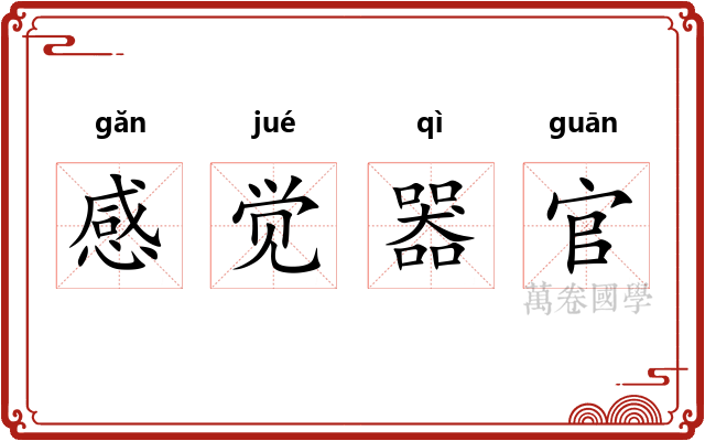 感觉器官 感觉器官