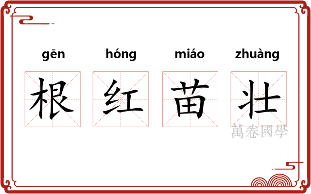 根红苗壮 根红苗壮