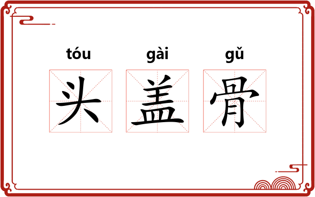 头盖骨