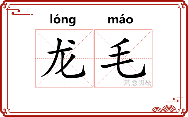 龙毛 龙毛