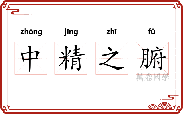 中精之腑