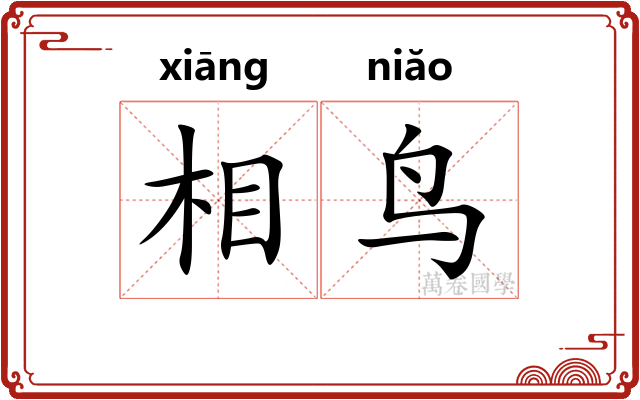 相鸟
