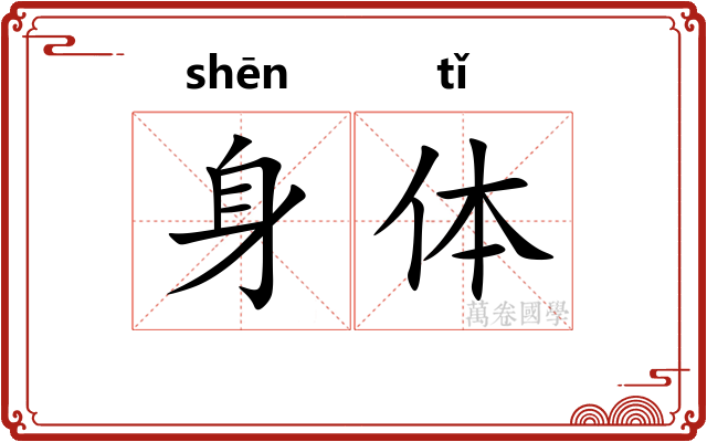 身体 身体