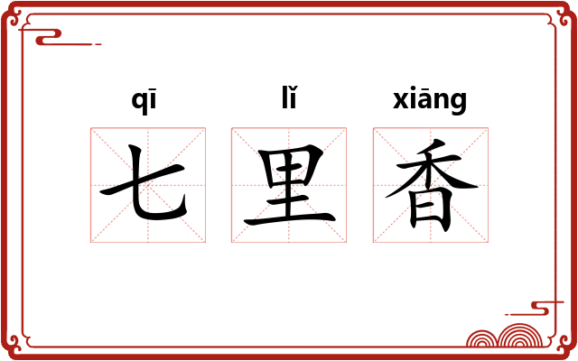 七里香 七里香