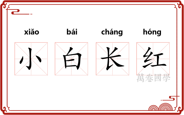 小白长红