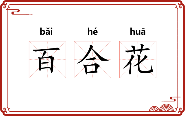 百合花 百合花