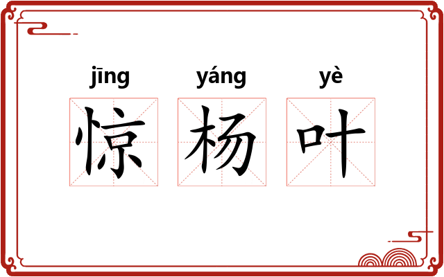 惊杨叶 惊杨叶