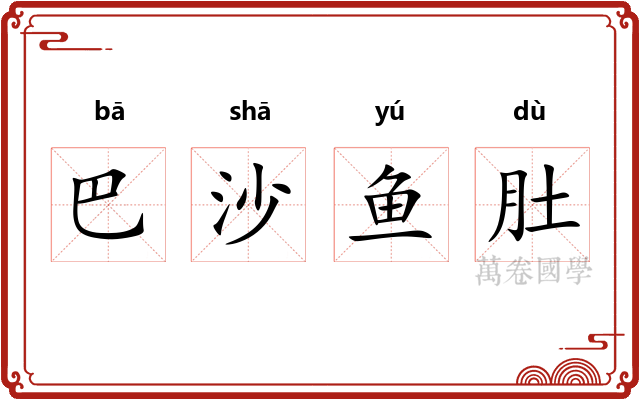 巴沙鱼肚