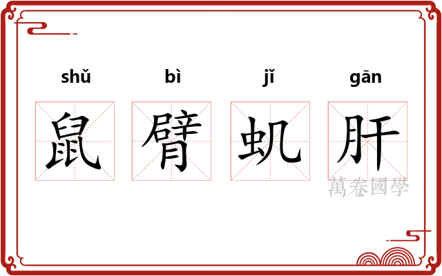 鼠臂虮肝 鼠臂虮肝