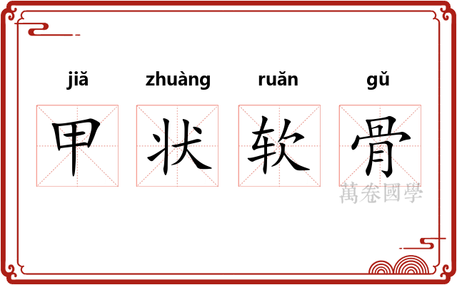 甲状软骨 甲状软骨