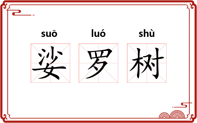 娑罗树 娑罗树